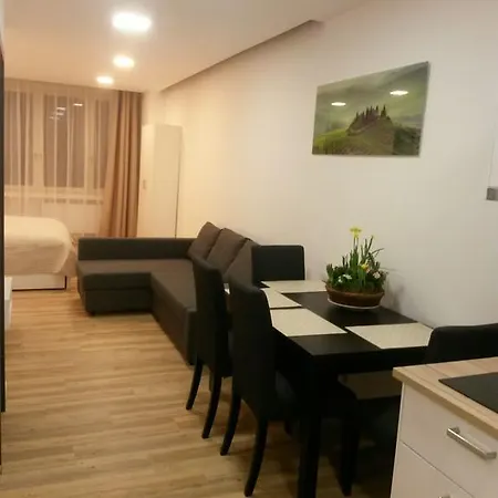 Apartment Opletalova 9